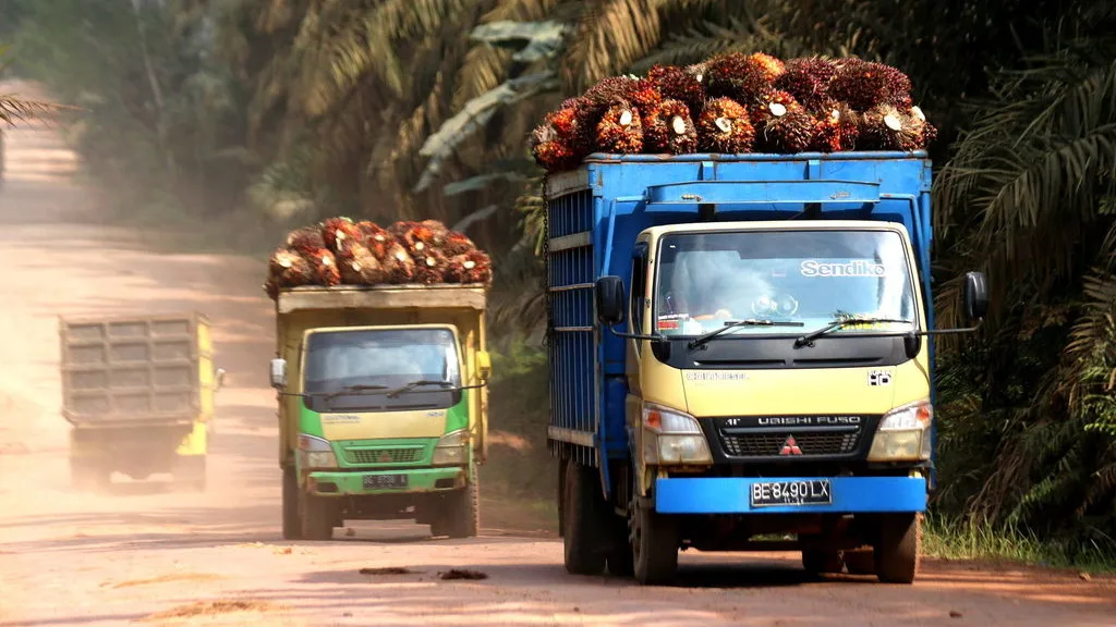 Truk bermuatan kelapa sawit menuju pabrik Permata Bunda