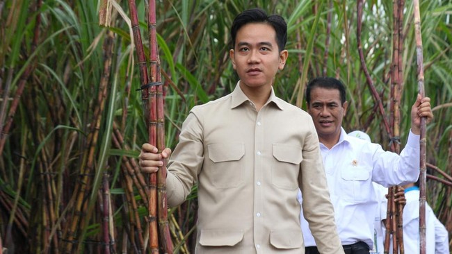 Catatan untuk Setahun Gibran Jadi Wakil Presiden Prabowo