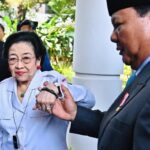Terima Megawati di Istana, Prabowo Dinilai Negarawan dan Dewasa Berpolitik