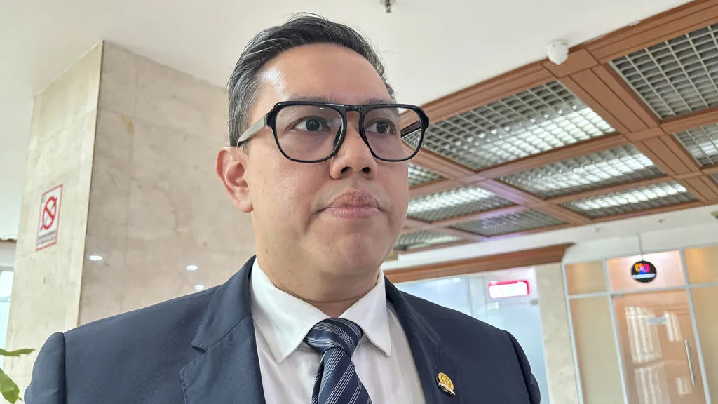 Wakil Ketua Komisi I DPR RI, Dave Laksono