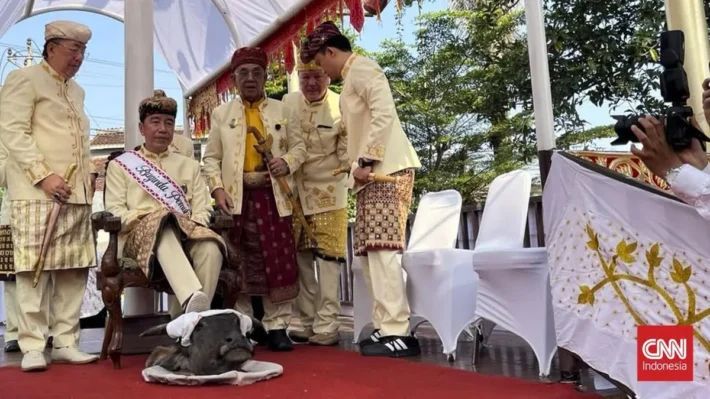 Ritual Jokowi Injak Kepala Kerbau Dinilai Tantang Bertarung PDIP